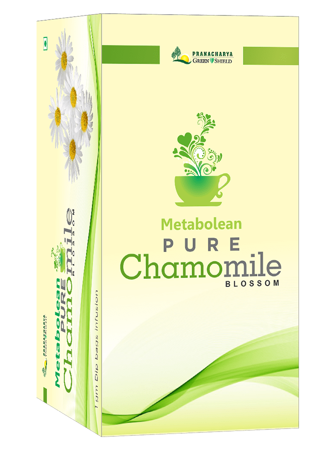 Buy Herbal Chamomile Green Tea  Greenshield  25 Tea bags