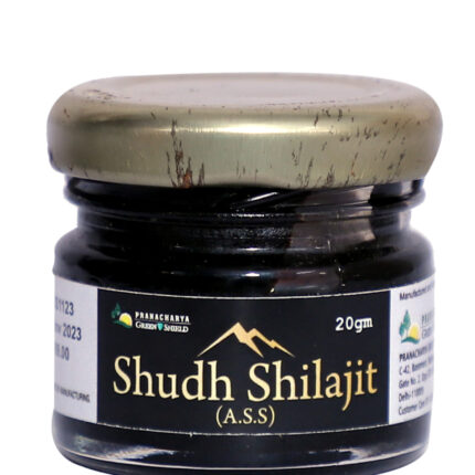 Shudh Shilajit (Resin) -20G