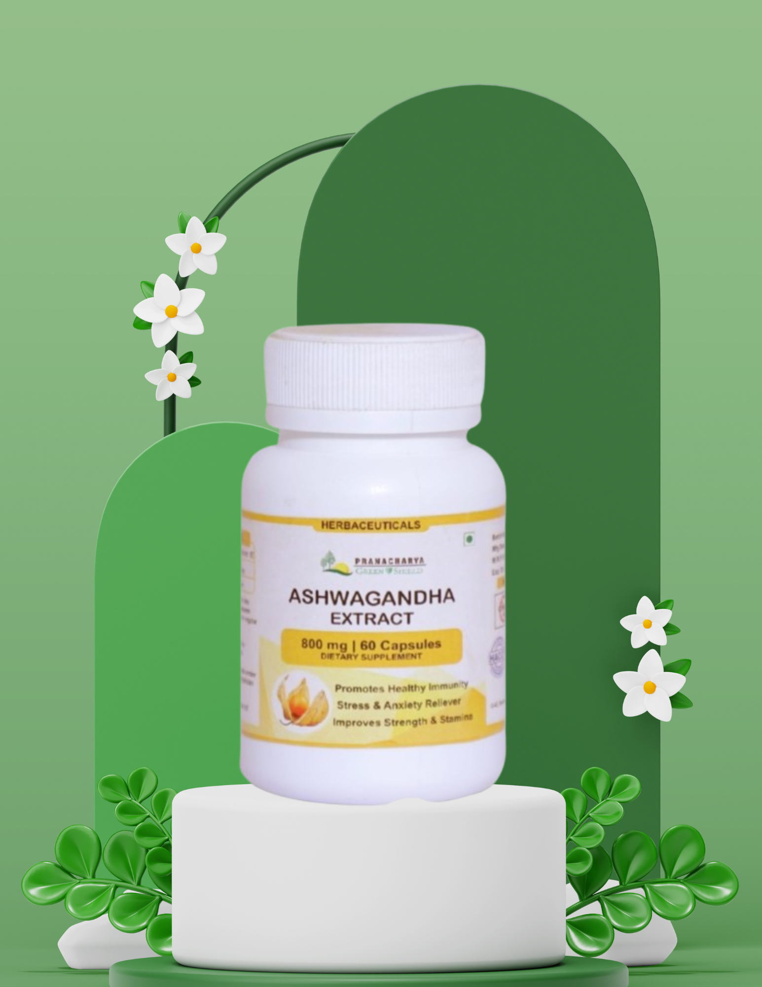 Untitled design - 2026-03-02T160559.398