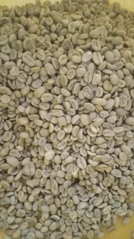 WhatsApp Image 2026-09-17 at 3.53.18 PM Green coffee