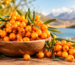 Sea Buckthorn Berry
