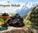 shilajit